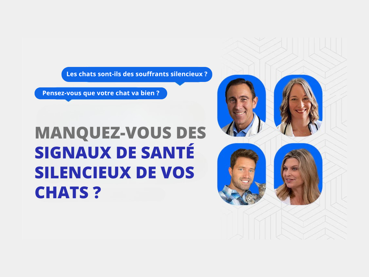 Litières automatiques pour chat : que pensent vraiment les vétérinaires ?🐈
