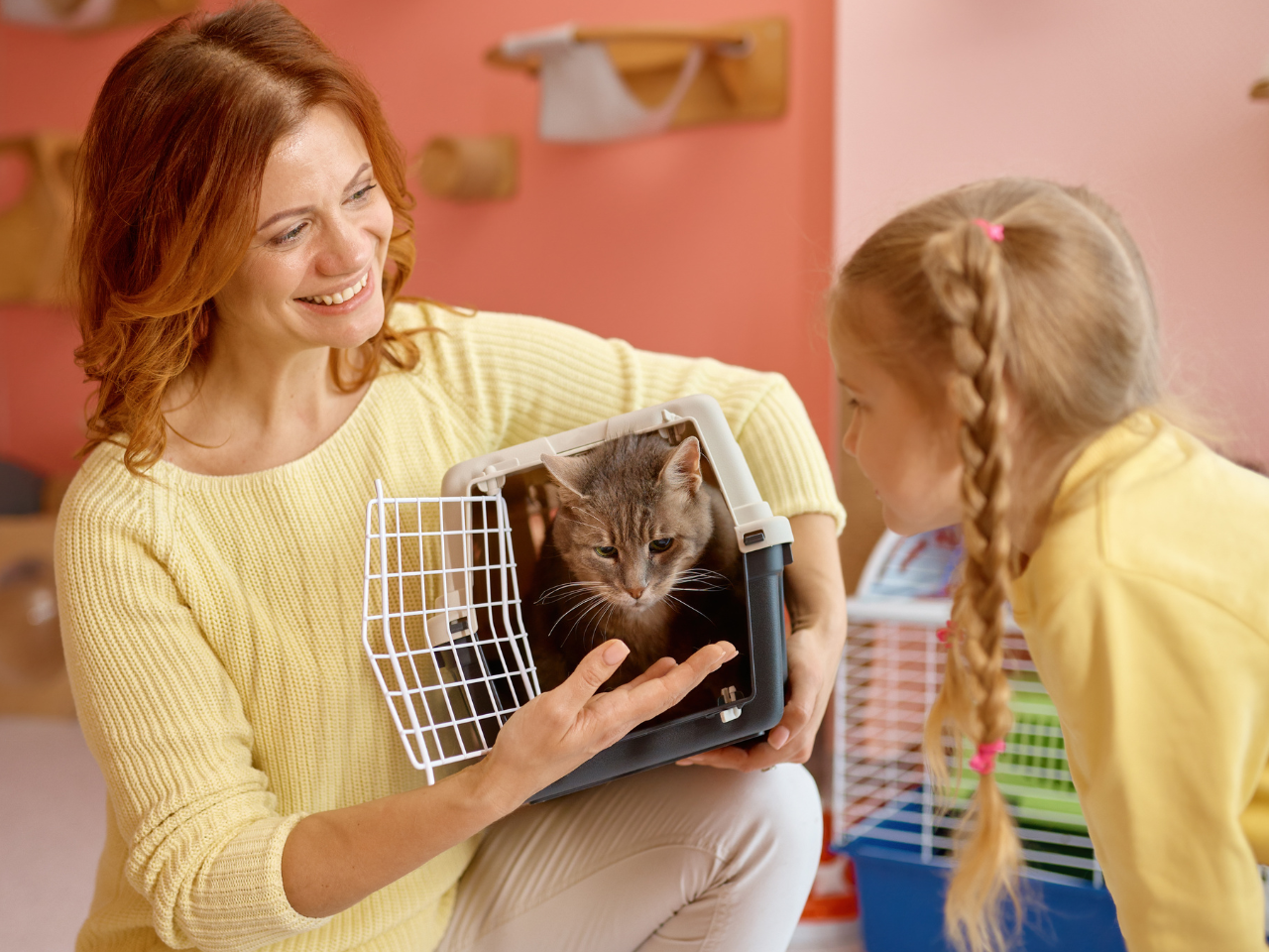 Guide complet pour les nouveaux propriétaires de chats et de chiens : que prévoir avant l’arrivée à la maison ?