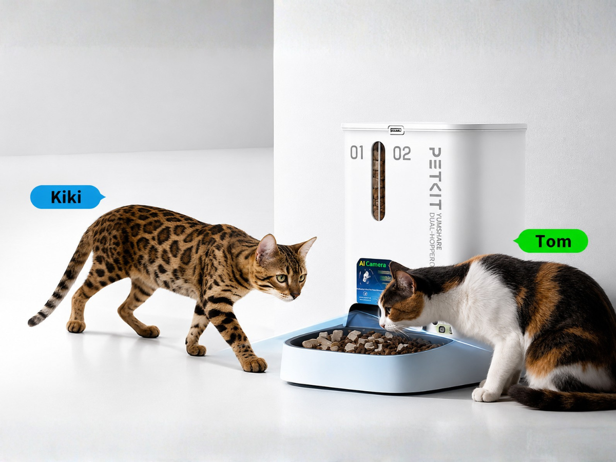 Découvrez le YUMSHARE DUAL-HOPPER : le distributeur automatique de croquettes intelligent qui suit chaque chat et enregistre chaque repas.
