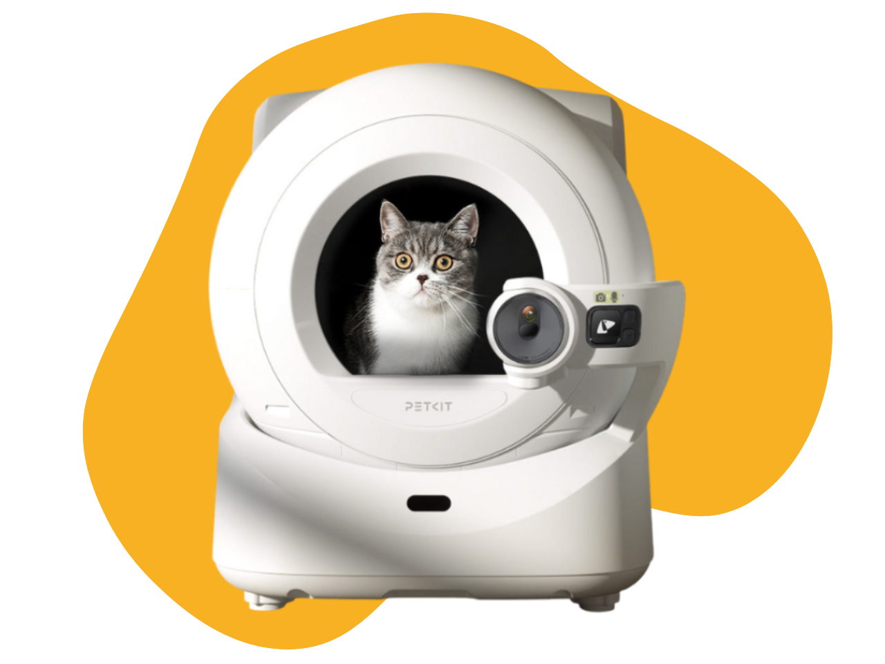 Petkit