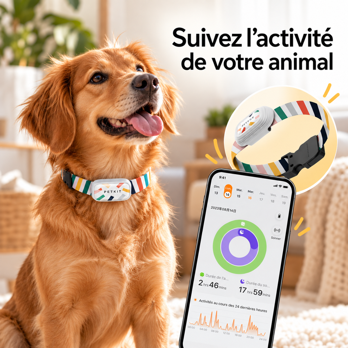Collier analyseur d'activités pour chiens